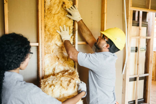 Best Insulation Air Sealing  in Brownsboro, TX